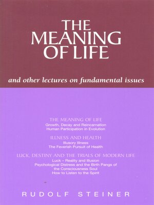 cover image of The Meaning of Life and Other Lectures on Fundamental Issues